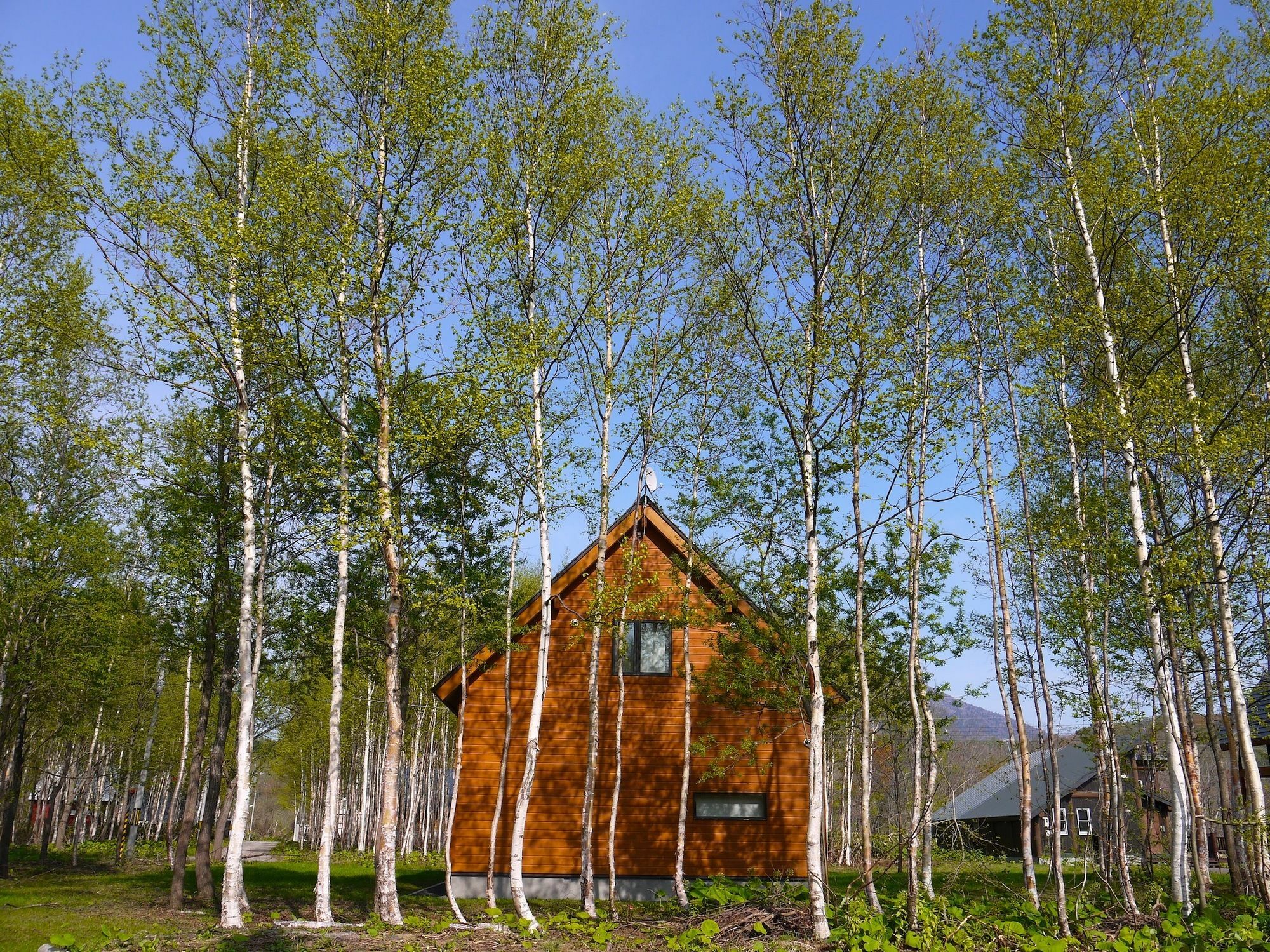 Country Resort Niseko Kutchan Luaran gambar